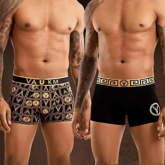 🔥Buy 1 get 3 🔥Men's Luxury Magnetic Breathable Briefs