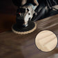 Wool Felt Flap Discs Polishing Wheel - clarioy