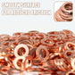 ⏳Time-Limited Special⏰100/200 PCS Copper Flat Washer Assortment Kit