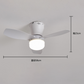Remote-Controlled LED Ceiling Fan Light