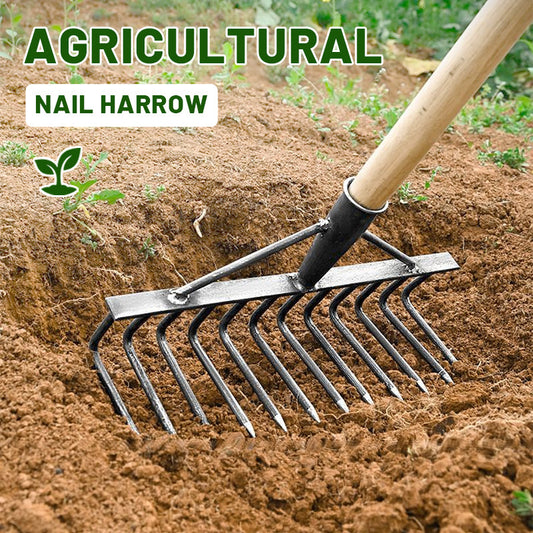 Agricultural Nail Harrow