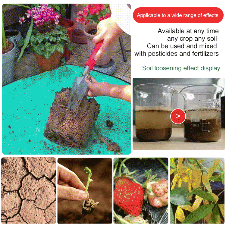 Soil loosening tool in use, soil improvement results, crops and plant growth, gardening keywords