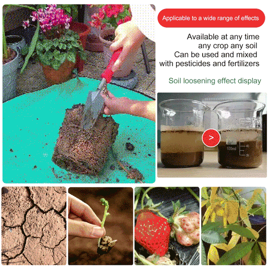 Soil loosening tool in use, soil improvement results, crops and plant growth, gardening keywords