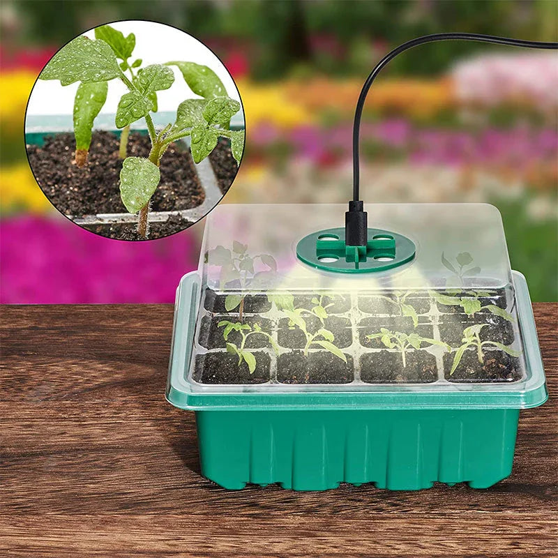 💎50% OFF! 💎 Grow Trays with Grow Light – Humidity Control, Transparent, and Full-Spectrum Light 🌱💡