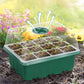 💎50% OFF! 💎 Grow Trays with Grow Light – Humidity Control, Transparent, and Full-Spectrum Light 🌱💡