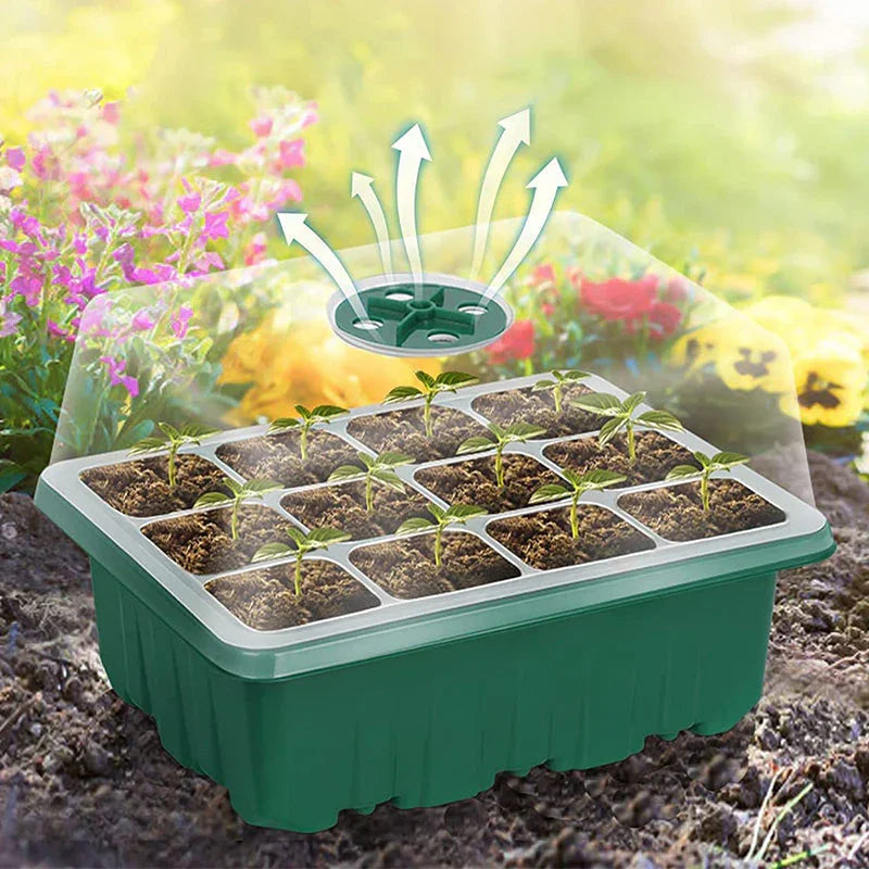 💎50% OFF! 💎 Grow Trays with Grow Light – Humidity Control, Transparent, and Full-Spectrum Light 🌱💡