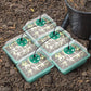 💎50% OFF! 💎 Grow Trays with Grow Light – Humidity Control, Transparent, and Full-Spectrum Light 🌱💡