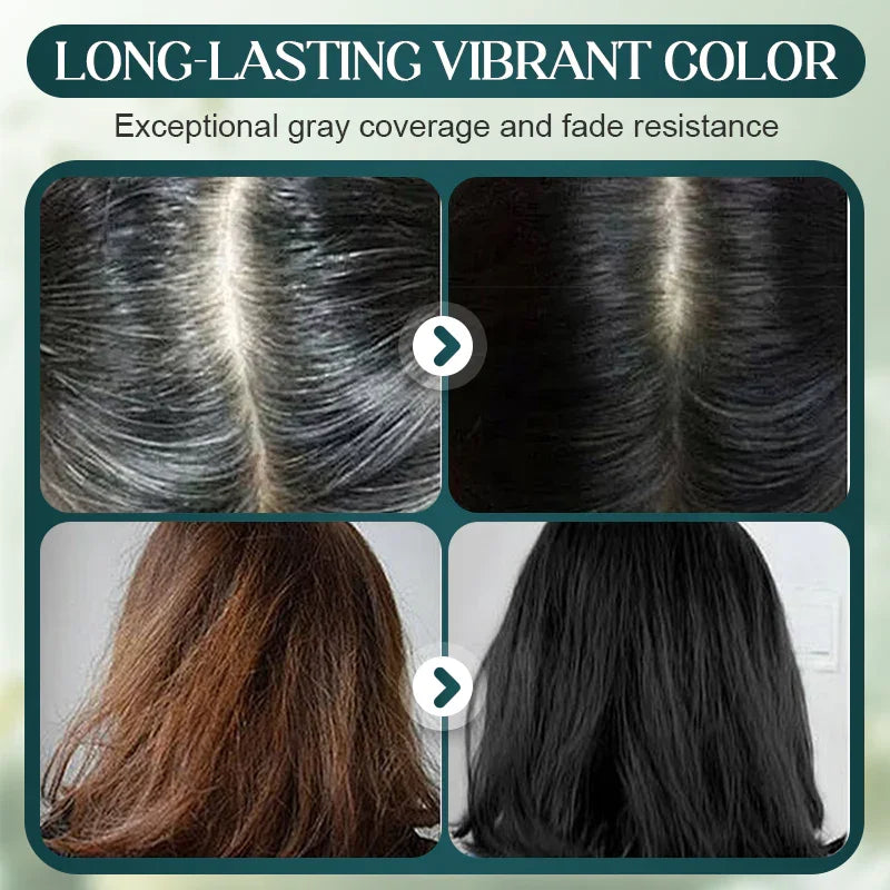 Before and after images showing hair color transformation with vibrant, long-lasting dye and gray coverage.