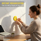 Magnetic Sunflower Wall Mount Holder(2 PCS)