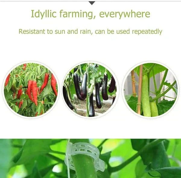 🗜️Clips for climbing plants – Plastic tomato ties and plant fasteners 🌱🍅