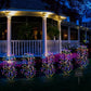 ✨ Solar Garden Lights Outdoor Decor – 100 LEDs, IP55 Waterproof, Easy Install 🌙