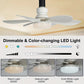 ⏳LAST DAY SALE 50% OFF🔥40W LED Ceiling Fan Light – 20.5” Ultra-Quiet with Remote 🎯 | E27 + FREE B22 Adapter 🔌 | For Bedroom 😴, Kitchen 👩‍🍳 & Garage 🛠️
