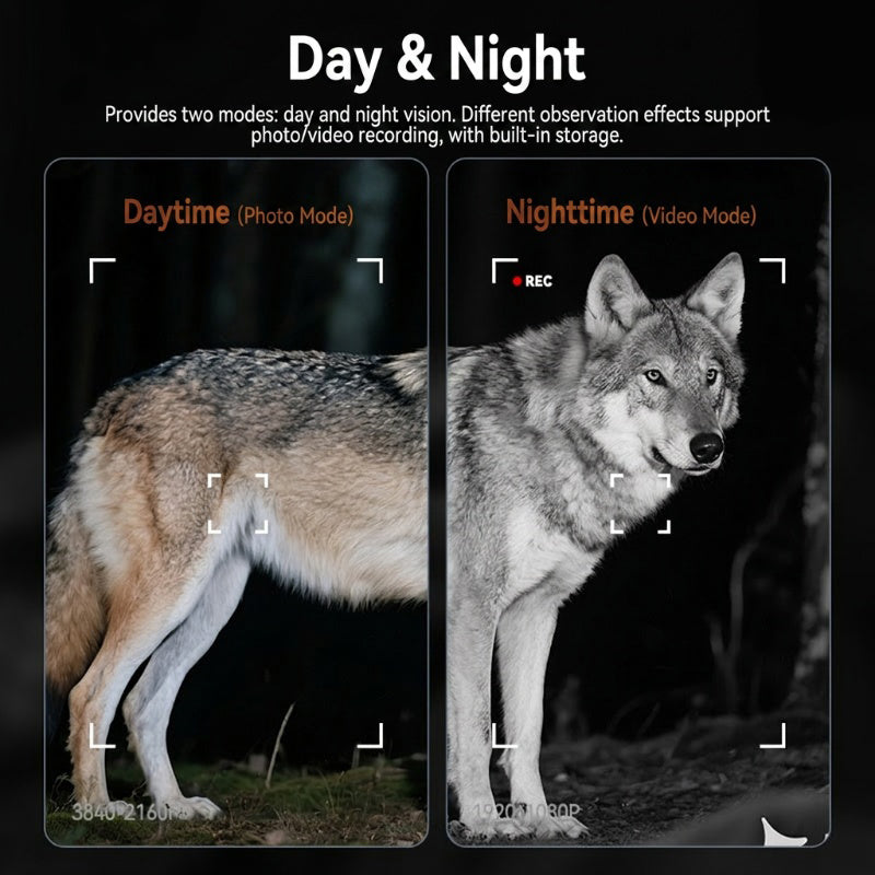 🔭 LIMITED-TIME 50% OFF! 🌙 800m HD Night Vision Binoculars – 4K Clarity, Day/Night Mode, Powerful IR ⚡
