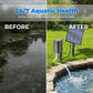 🔥LIMITED TIME 50% OFF!✨Solar Pond Aerator with Air Pump