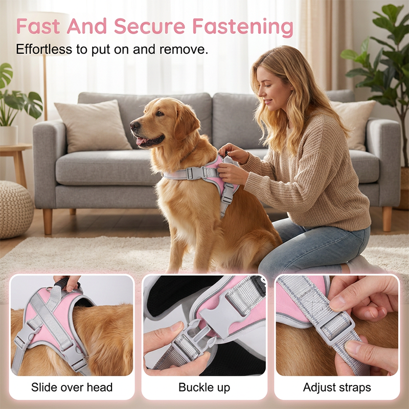 📢📢50% OFF !! ⏰No-Pull Dog Harness