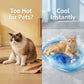 ⏰🔥LIMITED TIME 50% OFF!🔥50K+ SOLD! Inflatable Cooling Water Bed for Cats