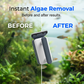 🐠🧲 50% OFF! Magnetic Aquarium Glass Cleaner Tool – Dual-Sided, Algae-Free, Scratch-Proof