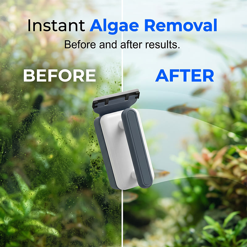 🐠🧲 50% OFF! Magnetic Aquarium Glass Cleaner Tool – Dual-Sided, Algae-Free, Scratch-Proof
