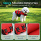 ⏳Time-Limited Special⏰High Buoyancy Dog Life Jacket — Superior Flotation Vest for Swimming & Boating