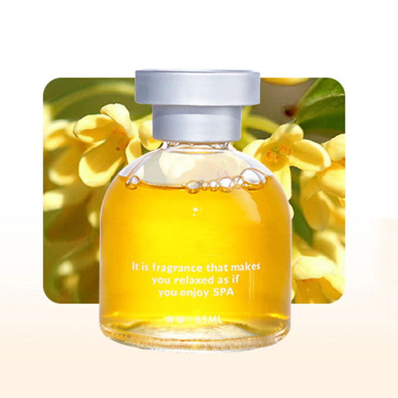 🔥50% OFF Long Lasting Car Perfume, Mild Natural Fragrance Auto Air Freshener, Effective Odor Eliminator, Compact De