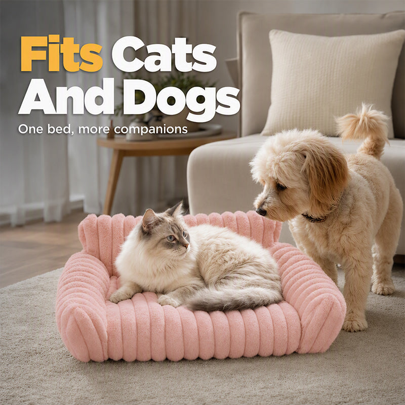 🐾✨50% OFF! 🐱🐶 Cozy Sofa Pet Bed – Ultra-Comfortable, Raised Bolster Edges & Super-Soft Ribbed Plush. Over 11,382 Happy Pets Sleeping in Style!✨