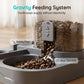 2-in-1 Pet Feeder and Water Dispenser
