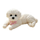 🐶 LIMITED-TIME 50% OFF 🤗 Squishy Teddy Dog Stress Toy — Soft, Squeezable & Super Cute