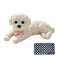 🐶 LIMITED-TIME 50% OFF 🤗 Squishy Teddy Dog Stress Toy — Soft, Squeezable & Super Cute