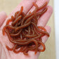 🌊 LIMITED-TIME 50% OFF ✨ Simulation Earthworm Soft Lures — Scented, Lifelike, Durable TPR
