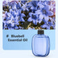 🥳💞100K+ SOLD✨🌸Automatic Aromatherapy Diffuser🎁