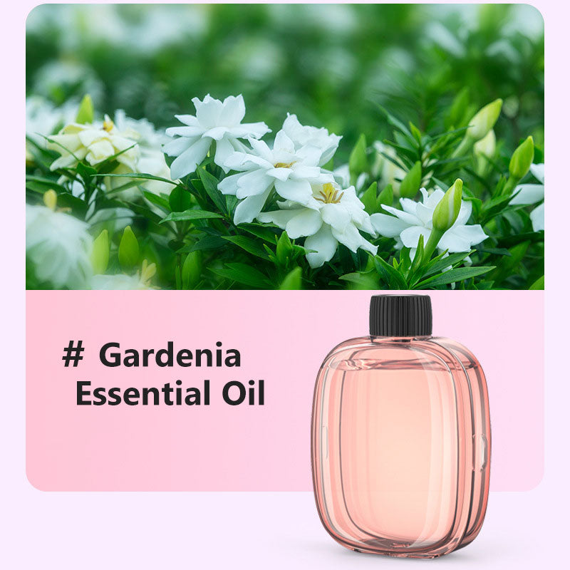 🥳💞100K+ SOLD✨🌸Automatic Aromatherapy Diffuser🎁