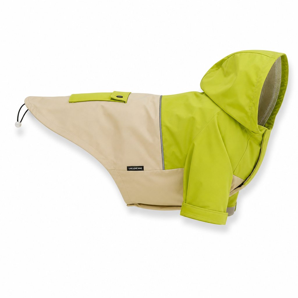 ☔ Waterproof Colorblock Dog Raincoat – Windproof, Breathable, Full Protection ✨