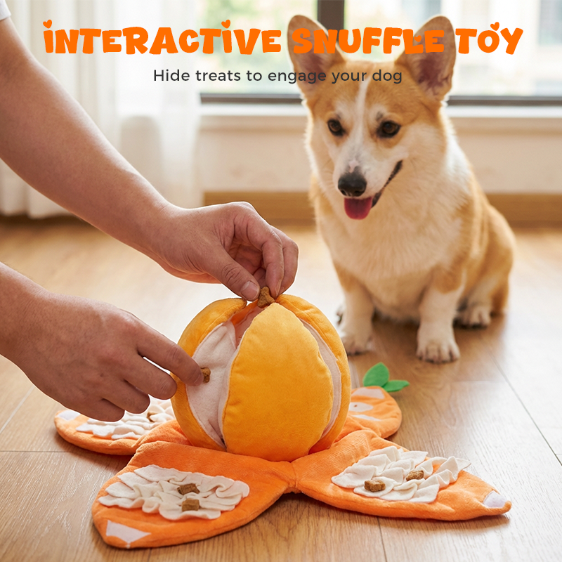 Hide & Seek Orange Plush Dog Toy