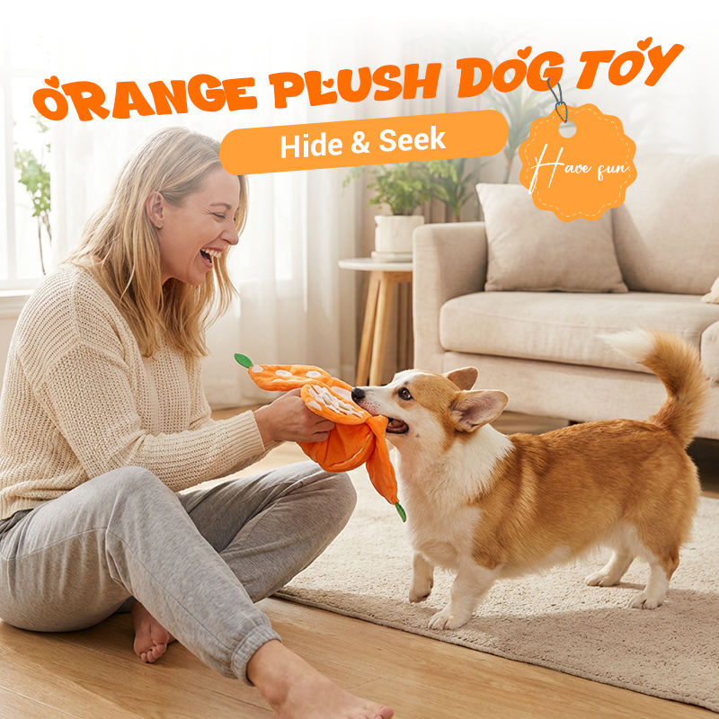Hide & Seek Orange Plush Dog Toy