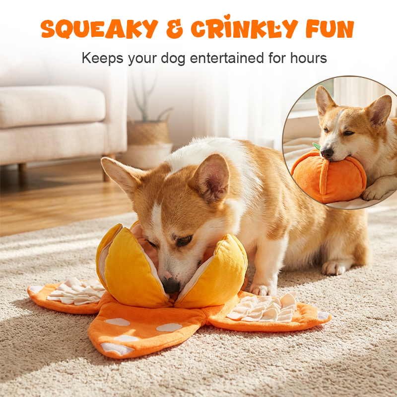 Hide & Seek Orange Plush Dog Toy