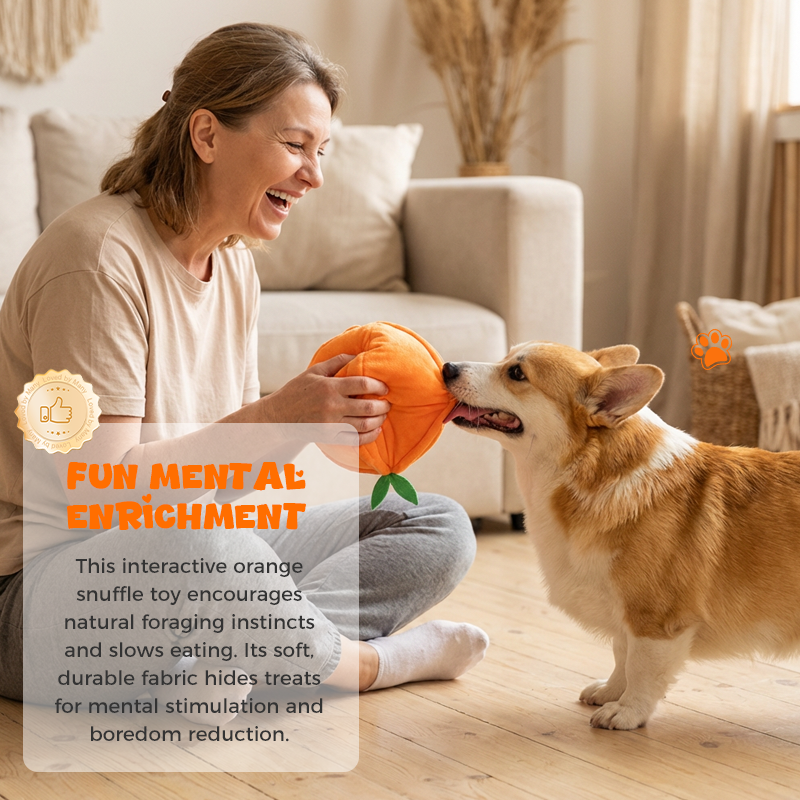 Hide & Seek Orange Plush Dog Toy