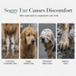 🌧️ Transparent Waterproof Dog Raincoat – XS to 8XL