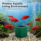 🐠 50% OFF! ✨ Activated Carbon Filter Cube – Honeycomb filtration for clear water 🛡️