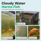 🐠 50% OFF! ✨ Activated Carbon Filter Cube – Honeycomb filtration for clear water 🛡️
