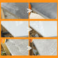 Integrated Stone Trimming and Polishing Disc（BUY 3 GET 5 FREE） - clarioy